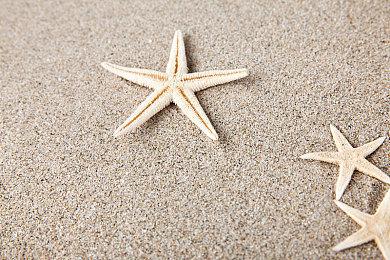 《极限竞速：地平线5》另类宣传视频 白噪音助你入眠